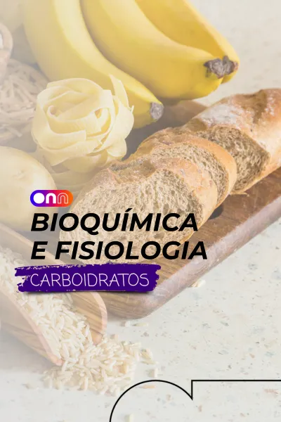 CAPA-MOD-14.webp